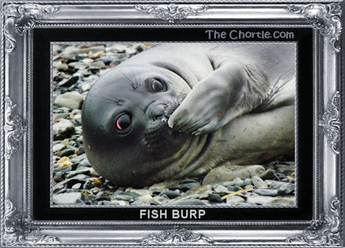 Fish burp