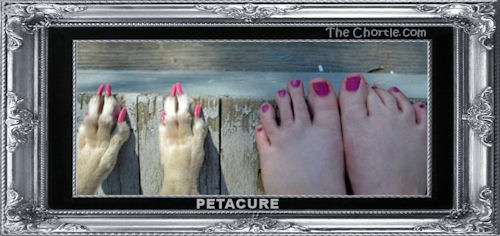 Petacure