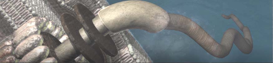 Flagellum