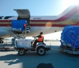 samaritans purse