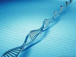 dna-strand-code_1144945.jpg