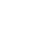 Evolution Icon