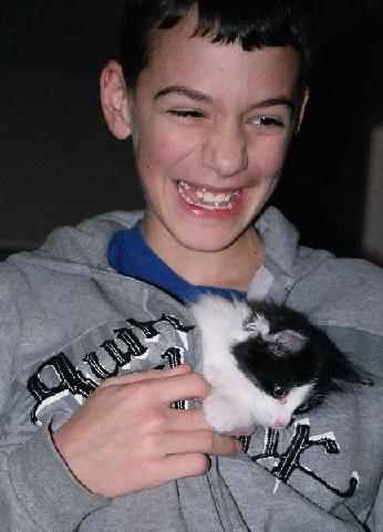 Henry Cat Tickles